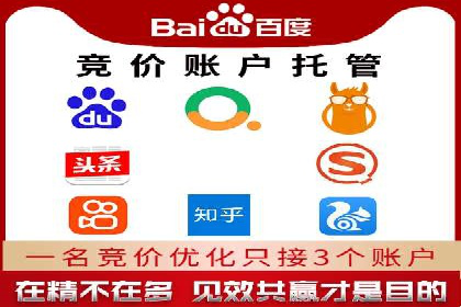 百度竞价广告案例分析：成功之道揭秘